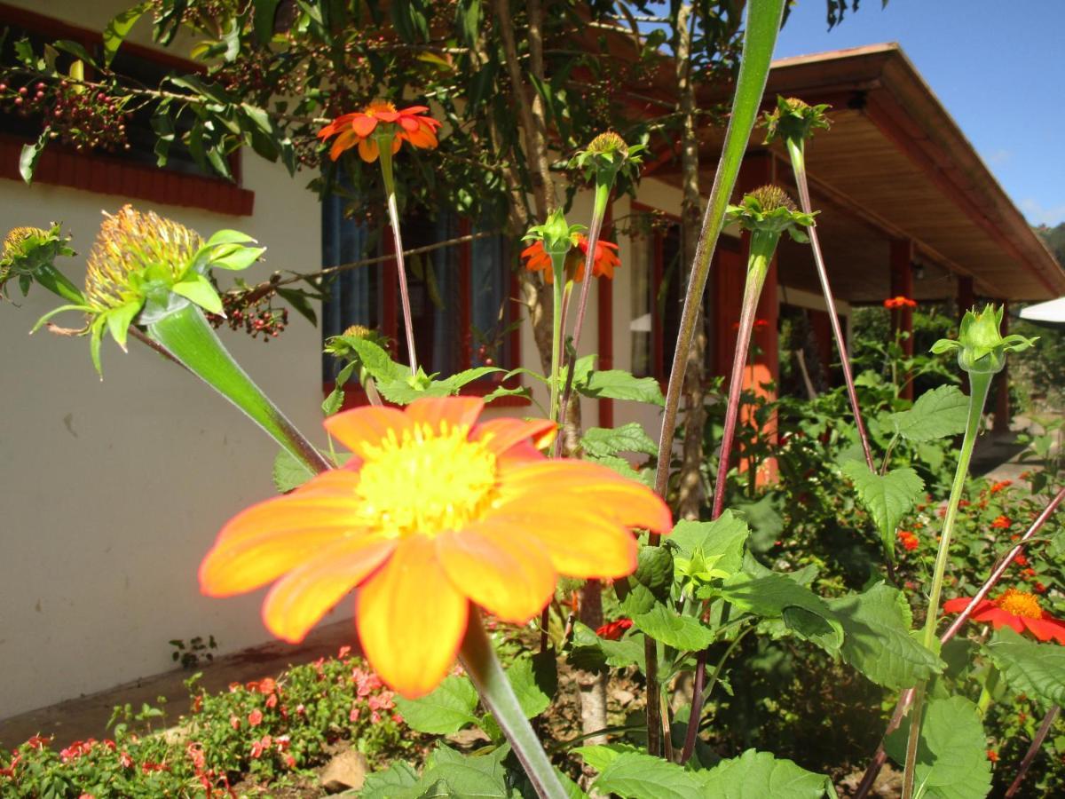 Casa Aquiares Lodge Posada Rural トゥリアルバ エクステリア 写真