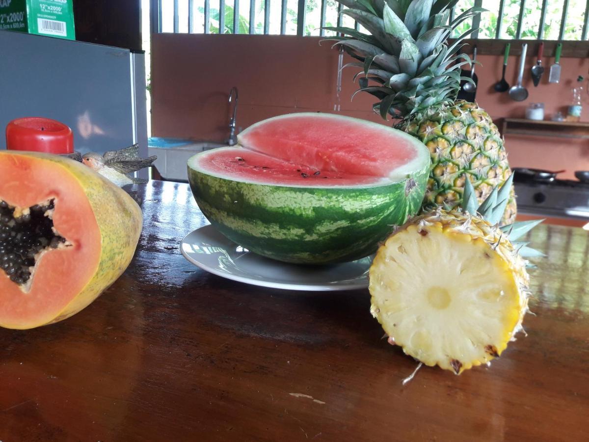 Casa Aquiares Lodge Posada Rural トゥリアルバ エクステリア 写真